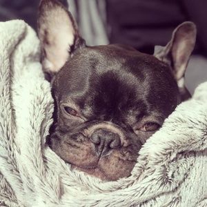 Meet your Posher, Josette